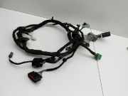 Ford EcoSport 12-22 Kabelbaum T?r und Fensterheber Links Vorne