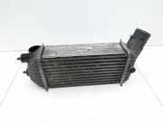Peugeot 5008 09-13 HDI 2,0 112KW Ladeluftkühler Kühler
