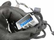 Fiat Freemont 11-16 Kombi Kabelbaum für Tür und Fensterheber Links Hinten