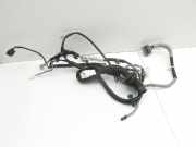 Honda Accord VIII CW3 08-11 Kombi RHD Kabelbaum Tür und Fensterheber Links Vorne