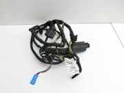 BMW F36 420d 13-17 Grand Coupe Kabelbaum Tür und Fensterheber Links Vorne