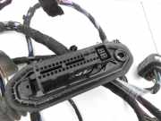 BMW E81 1er LCI 120i Coupe Kabelbaum Tür und Fensterheber Links Vorne