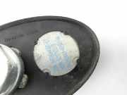 Citroen C4 Grand Picasso 06-10 Antenne Dachantenne