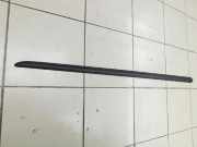 Fiat Punto 199 05-09 Leiste Scheibendichtung für Tür Links Vorne