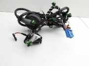 VW Passat B8 3G 14-19 Kombi Kabelbaum für Tür und Fensterheber Rechts Vorne