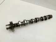 Audi A4 B7 8E 04-08 TDI 3,0 171KW ASB Nockenwelle Rechts Auslass 1-3