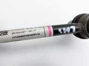 Tesla Model Y LR 20-25 5YJY Koppelstange Pendelstütze Links Hinten Pos.2