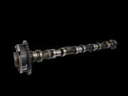 BMW E63 6er 645Ci 03-07 4,4 245KW N62B44O0 Nockenwelle Links Auslass 5-8