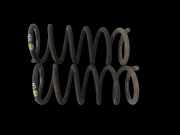 Opel Antara 07-11 Beide Feder Federn Hinten