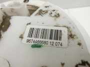 Citroen C3 Picasso 09-13 1,6 88KW Kraftstoffpumpe Kraftstoff Förderpumpe Tankgeber