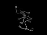 Hyundai I30 PD 19-24 CRDI 1,6 85KW Hochdruck Leitung Kraftstoffleitung