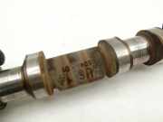 BMW X5 E70 06-10 4.8I 261KW N62B48B N62/TU Nockenwelle Rechts Auslass 1-4