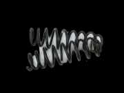 Hyundai I30 PD 19-24 5T Beide Feder Federn Hinten