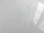 Citroen C4 Cactus 14-18 Motorhaube Frontklappe Haube