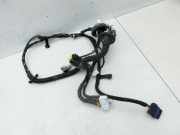 Nissan Qashqai J10 07-10 Kabelbaum Tür und Fensterheber Links Vorne