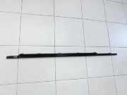 Hyundai Santa Fe IV TM 18-20 Leiste Scheibendichtung für Tür Rechts Vorne