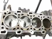 Renault Scenic III 09-12 Dci 2,0 118KW M9R610 Motorblock für Motor