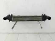 Mercedes C200 W204 07-11 CGI 1,8 135KW Ladeluftkühler Kühler