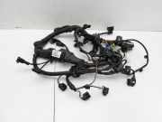 BMW X1 E84 12-15 2,0d 135KWMotorkabelbaum