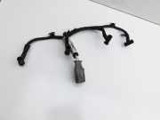 Peugeot 4007 GP 07-12 Kabelbaum f?r Motor Z?ndung