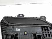 Tesla Model S Palladium 21-25 Türgriff Griff aussen Rechts Hinten