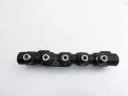 Citroen C4 Grand Picasso 06-10 HDi 1,6 80KW Einspritzleiste Düsenstock für Einspritzanlage