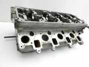 VW Golf Plus 5M 08-14 TDI 1,6 77KW CAYC Zylinderkopf