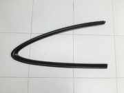 Jaguar X100 XKR XK8 04-06 Coupe Leiste für Tür Scheibendichtung Rechts Hinten