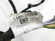 Ford Fiesta VII MK7 17-23 5T Kabelbaum f?r Motor