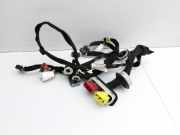 Citroen C4 Picasso II 13-22 Kombi Kabelbaum f?r T?r und Fensterheber Rechts Vorne