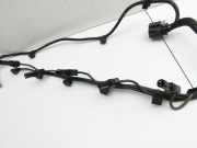 BMW F06 640d 12-18 3,0 230KW Kabelbaum Motorkabelbaum Leitungssatz für Motor Einspritzung