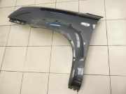 Hyundai Tucson JM 05-10 Kotflügel Links Vorne