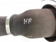 BMW F11 520d 10-13 Kombi Luftfeder Luftfederung Federbein Luftbalg Hinten Rechts