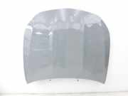 Motorhaube Frontklappe Haube Alpingrau 956