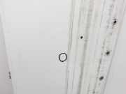 VW Crafter 2E 35 11-16 KastenTür Links Hinten