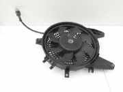 Hyundai Terracan 04-06 2,9 120KW Lüfter Ventilator f. Kühler Links