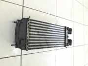 Citroen DS3 10-16 1,6 110KW Ladeluftkühler Kühler