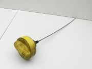 Renault Scenic III JZ 09-12 dCi 1,9 96KW F9Q870 Ölmessstab Öl Stab