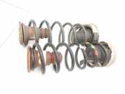 Citroen Berlingo B9 12-18 Lieferwagen Beide Feder Federn Hinten