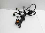 VW Sharan 7N II 10-15 Kabelbaum Tür und Fensterheber Links Vorne