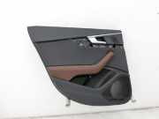 Audi A4 8W B9 15-19 Kombi Türverkleidung Türpappe Leder braun Hinten Links