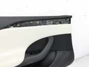 Tesla Model S Palladium 21-25 Türverkleidung Türpappe Links Vorne