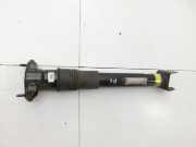 Mercedes W251 R350 10-13 LangStossdämpfer Links Hinten