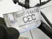 Galaxy III CK 15-19 Kabelbaum für Motor C20HDTX