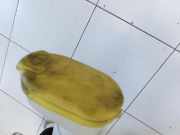 Renault Trafic II 06-14 dCi 90 2,0 66KW Waschwasserbehälter Wasserbehälter Wischwasserbehälter