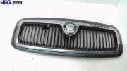 Kühlergrill 6Y0853668B Skoda Fabia 1.4 16V Combi pure 6Y Fabia Kombi