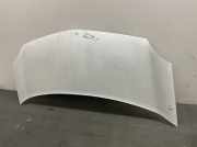 Motorhaube 651003220R Renault Kangoo dCi 105 FAP W Kangoo Kombi