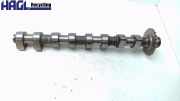 Nockenwelle Einlass Links 077109021CJ Audi V8 D11 Audi V8 Limousine