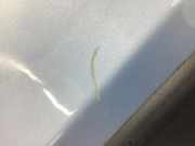 TÜR Hinten Rechts 46826582 Fiat Panda 1.2 Classic 169 Panda Kombi