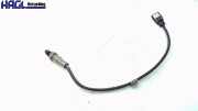 Lambdasonde 80A906265 Audi A4 45 Tfsi quattro S tronic B9 Audi A4 Limousine